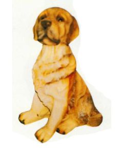 Labrador sitzend lebensgroß