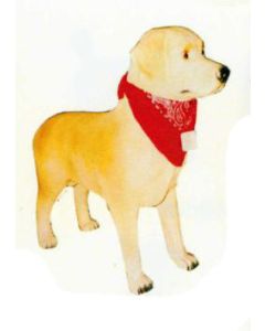 Labrador stehend mit Halstuch lebensgroß