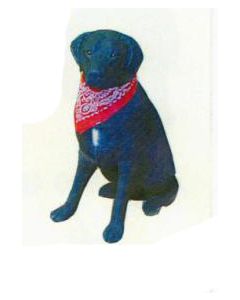 Labrador sitzend mit Halstuch lebensgroß