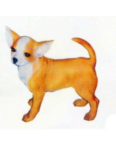 Chihuahua stehend lebensgroß