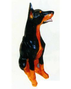 Deutscher Pinscher sitzend lebensgroß