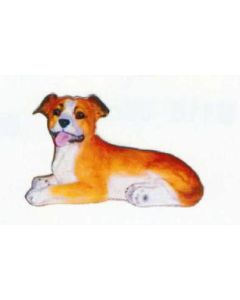 American Stafford Terrier Welpen liegend lebensgroß