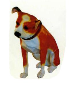 American Stafford Terrier sitzend lebensgroß