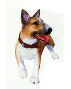 American Bullterrier Kampfhund laufend lebensgroß