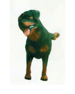 Rottweiler pinkelnd lebensgroß