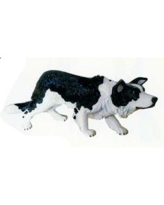 Border Collie Angriffsstellung lebensgroß