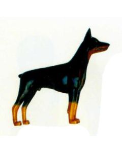 Deutscher Pinscher lebensgroß