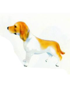 Beagle braun weiß lebensgroß