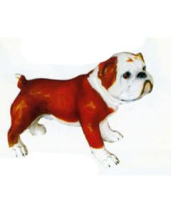 Englische Bulldogge lebensgroß