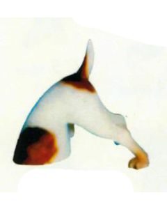 Beagle gräbt Loch lebensgroß