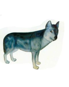 Husky stehend lebensgroß