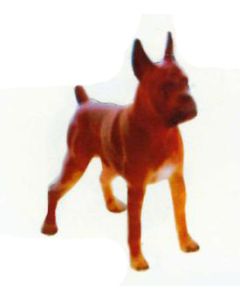 Boxer Kampfhund stehend lebensgroß