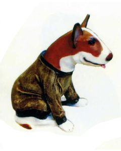 Kampfhund Bullterrier sitzend mit Pullover lebensgroß