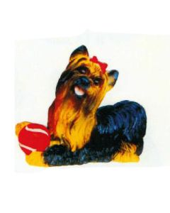Yorkshire Terrier liegend mit Ball lebensgroß