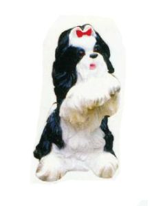 Shih Tzu macht Männchen lebensgroß