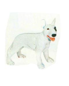 Bullterrier Kampfhund lebensgroß
