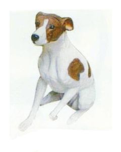 Beagle sitzend lebensgroß