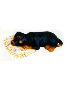 Rottweiler Welpen liegend auf Kissen lebensgroß