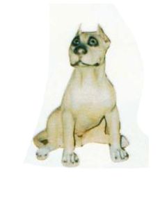 Bullterrier sitzend Kampfhund lebensgroß