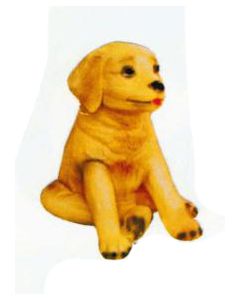 Labrador Welpen sitzend lebensgroß