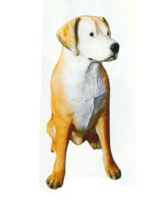 Labrador sitzend lebensgroß