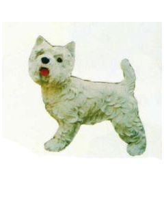 Cairn Terrier lebensgroß