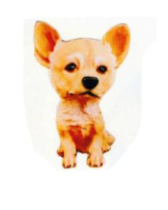 Chihuahua sitzend lebensgroß