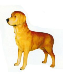 Labrador lebensgroß