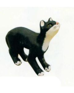 Katze macht Katzenbuckel lebensgroß