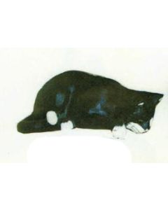 Katze schlafend lebensgroß