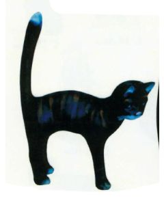 Katze macht Buckel schwarz groß lebensgroß