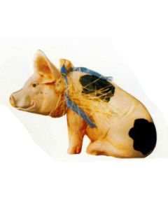 geflecktes Schweinchen lebensgroß
