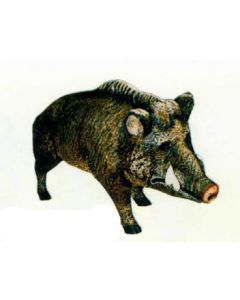 Wildschwein Keiler stehend lebensgroß