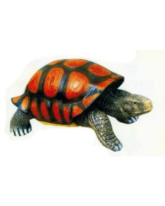 Riesenschildkröte lebensgroß