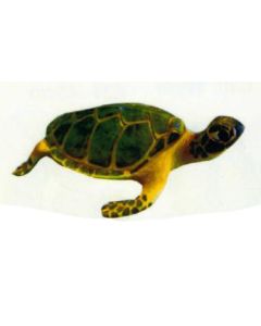 große Wasserschildkröte lebensgroß