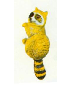 Waschbär hängend Kopf links lebensgroß