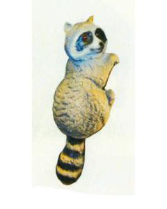 Waschbär hängend Kopf rechts lebensgroß