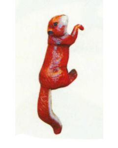 Eichhörnchen hängend Kopf rechts lebensgroß