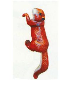 Eichhörnchen hängend Kopf links lebensgroß