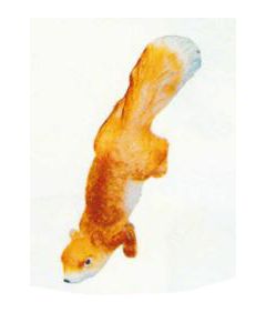 Eichhörnchen Kopf über lebensgroß
