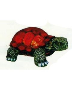 Schildkröte klein lebensgroß