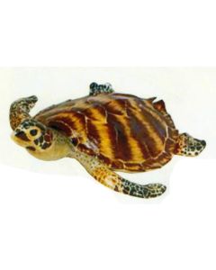 große schwimmende Wasserschildkröte lebensgroß