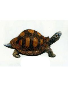 Wasserschildkröte lebensgroß