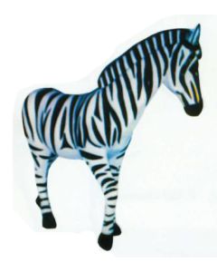 Zebra lebensgroß lebensgroß