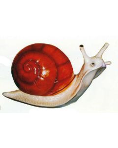 Große Schnecke übergroß XXL