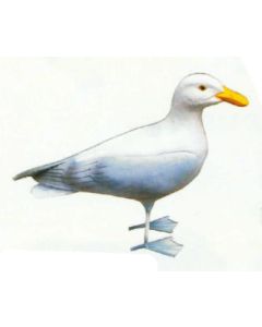 Möwe stehend lebensgroß