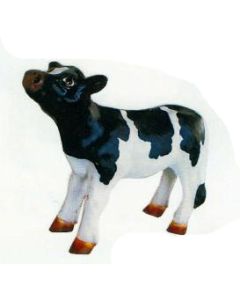 kleines Kälbchen schwarz weiß gefleckt verkleinert