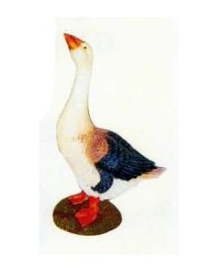 Wildgans auf Wiese lebensgroß