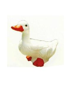 kleine Gans sitzend lebensgroß