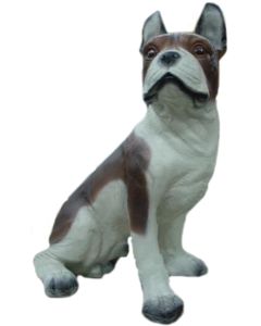 franz. Bulldogge sitzend, Kampfhund lebensgroß